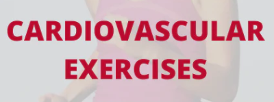 Cardio Exercises for Weight Loss