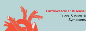 what is cardiovascular disease