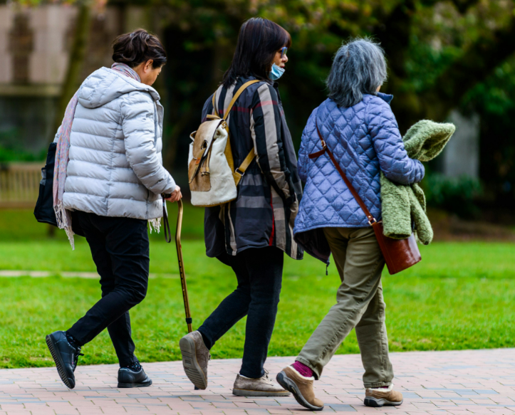 Best Low-Impact Cardio Exercises for Seniors